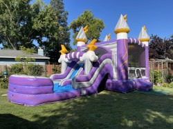 IMG 0093201 1766800746 Purple Thunder Dual-Lane Combo (Wet)