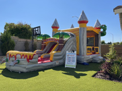 IMG 0100201 1766988326 Dino Combo Dual Lane Slide (Dry)