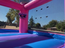 IMG 0256 1765230310 Princess Combo (Wet)