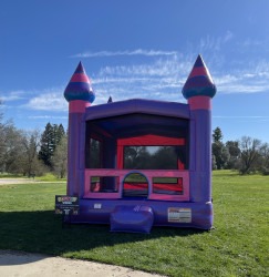 IMG 5995 1766901074 13x13 Purplish