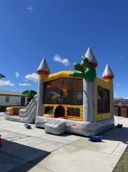 Dino Combo Dual Lane Slide (Dry) IMG 6641 1764967783 Dino Combo Dual Lane Slide (Dry)