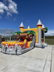 IMG 6646 1764967782 Dino Combo Dual Lane Slide (Dry)