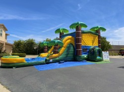 Cali Palms Combo Dual Lane Slide (Wet) IMG 8406 3 1765228367 Cali Palms Combo Dual Lane Slide (Wet)