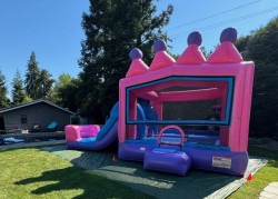 IMG 8756 1764970396 Princess Combo (Dry)