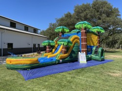 IMG 8837201 1765228367 1 Cali Palms Combo Dual Lane Slide (Wet)