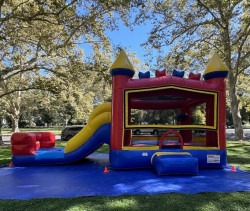 Classic Color Combo (Dry) IMG 8994 2 1765229756 Classic Color Combo (Dry)