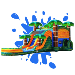 Cali Palms Combo Dual Lane Slide (Wet)