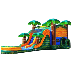 Cali Palms Combo Dual Lane Slide (Dry)