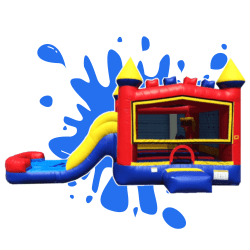 Classic Color Combo (Wet)