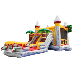 Dino Combo Dual Lane Slide (Dry)