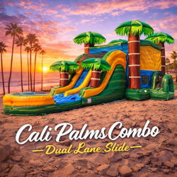 Cali Palms Combo Dual Lane Slide (Dry)