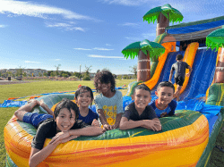 unnamed 1765228367 Cali Palms Combo Dual Lane Slide (Wet)