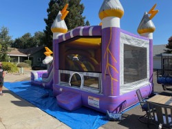 IMG 0132 1768107143 Purple Thunder Dual Lane Combo (Wet or Dry)